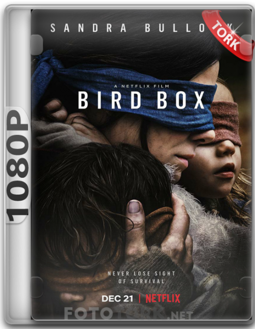 1080pBIRDBOX.png