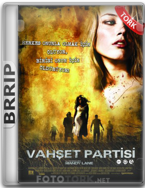 BRRip.png