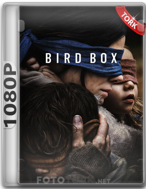 Bird-Box-1080.png