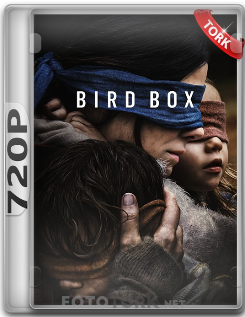 Bird-Box-720.png