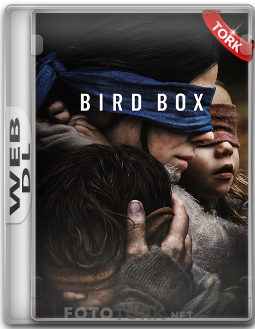 Bird-Box-web.png