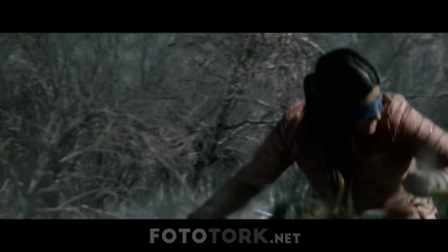 Bird.Box.2018.720p.NF.WEB-DL.x264.DUAL.TR-ENG.TORK.mkv_006161583.png