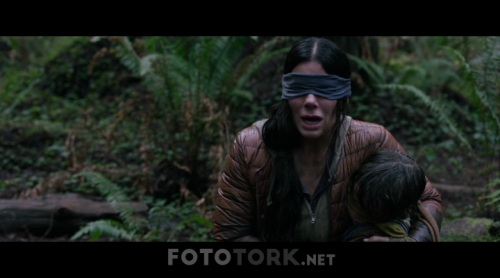 Bird.Box.2018.WEB-DL.XviD.TRDUB.TORK.avi_006536458.png
