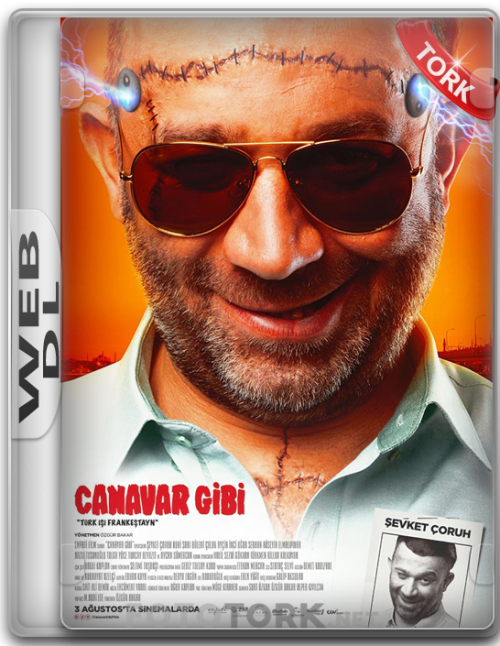 WeB-DL1.png