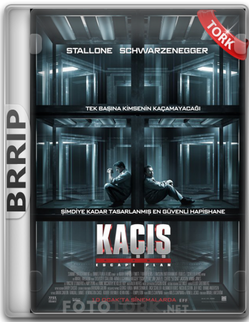 BRRipkacis.png