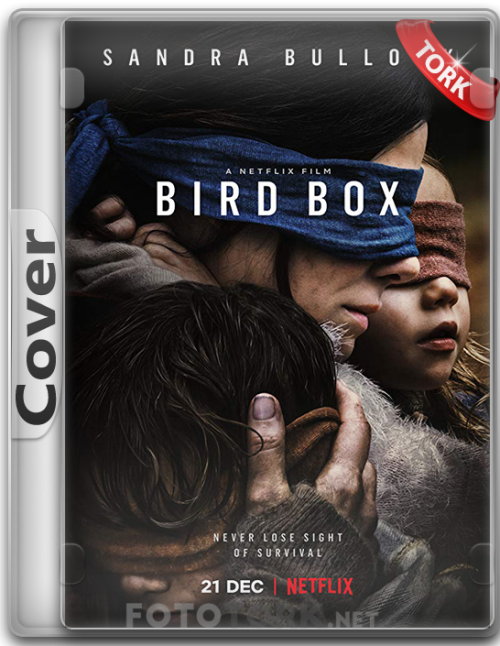 birdbox.png