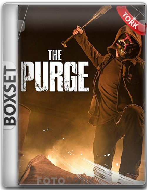 BoxSetPURGEDIZI.png