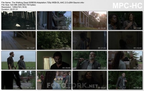 The.Walking.Dead.S09E09.Adaptation.720p.WEB-DL.AAC.2.0.x264-Sauron.mkv_thumbs.jpg