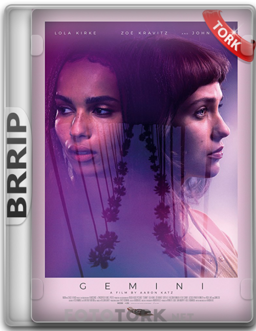 BRRipgemini.png