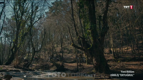 Dirilis.Ertugrul.BL.139.HDTvRip.720p.AC3.by.TheWelleTy.TORK.mkv_002872512.png