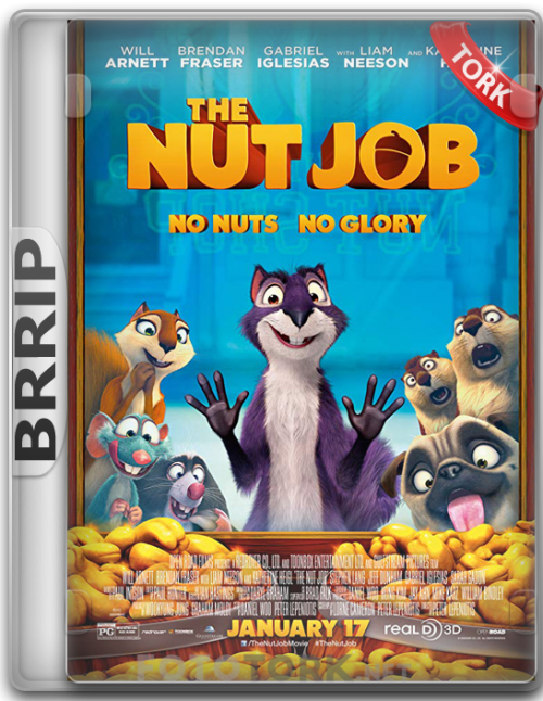 BRRipfindik111.png