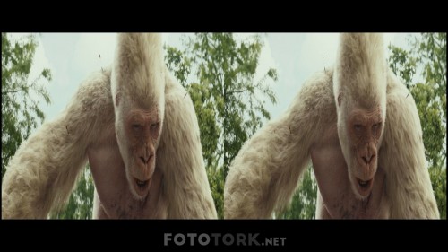 Rampage-2018-1080p-3D-BluRay-Half-SBS-x264-DUAL-TR-ENG-TORK.mkv_snapshot_00.29.32.953.jpg