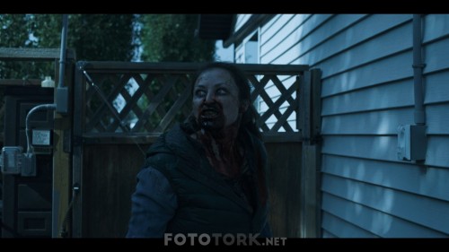 Black-Summer-2019-S01E01-Insan-Seli-NF-1080p-WEB-DL-x264-DUAL-TR-ENG-TORK.mkv_snapshot_30.03.687.jpg