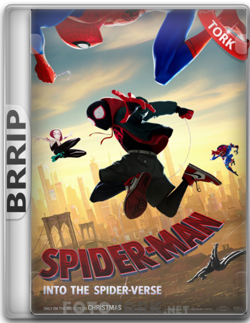BRRip.png