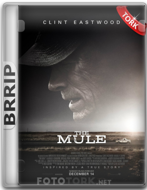 BRRip.png