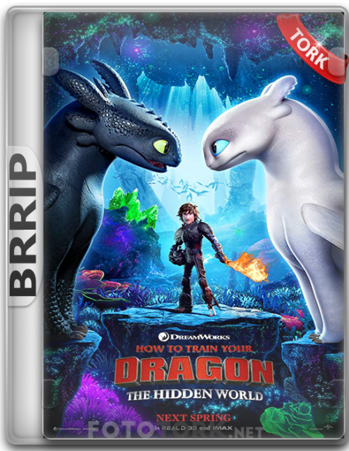 BRRip.png