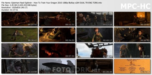 Ejderhani-Nasil-Egitirsin---How-To-Train-Your-Dragon-2010-1080p-BluRay-x264-DUAL-TR-ENG-TORK.mkv_thumbs.jpg