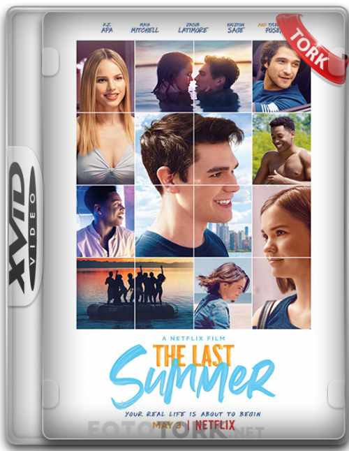 XvidSUMMER.png
