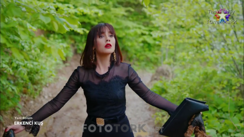 Erkenci.Kus.BL.41.HDTvRip.720p.AC3.by.TheWelleTy.TORK.mkv_000460720.png