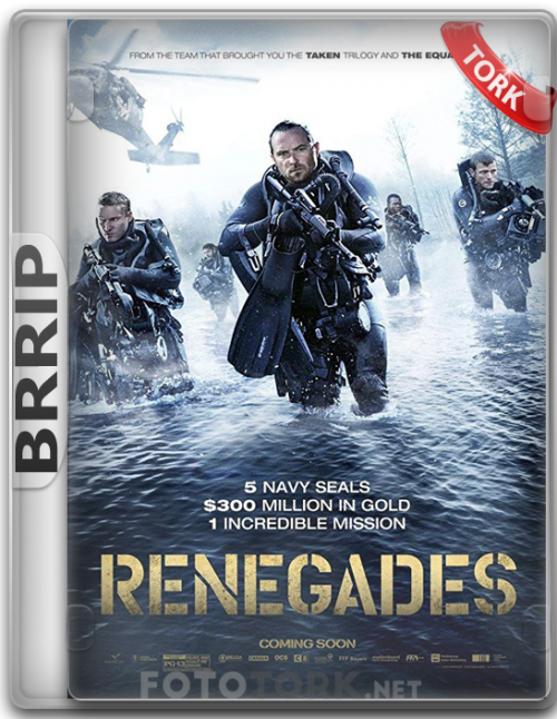 BRRipRENEGADES.png