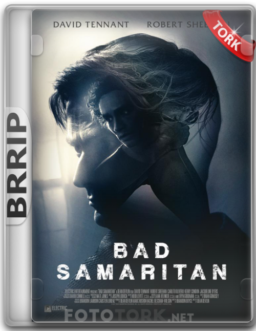 BRRipSAMARTIAN.png
