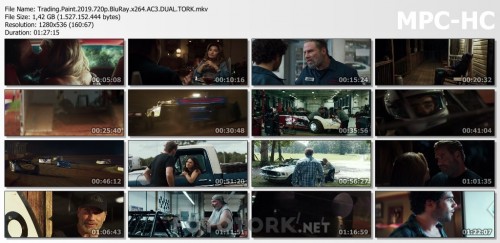 Trading.Paint.2019.720p.BluRay.x264.AC3.DUAL.TORK.mkv_thumbs.jpg