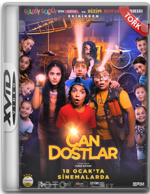 Xvid.png