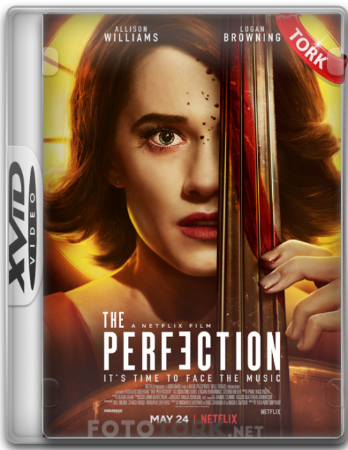 XvidPERFECTION.png
