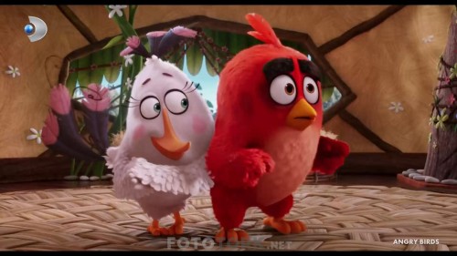 Angry.Birds.2016.HDTvRip.1080p.AC3.TR.DUB.by.cideli37.TORK.mkv_snapshot_00.16.50.jpg