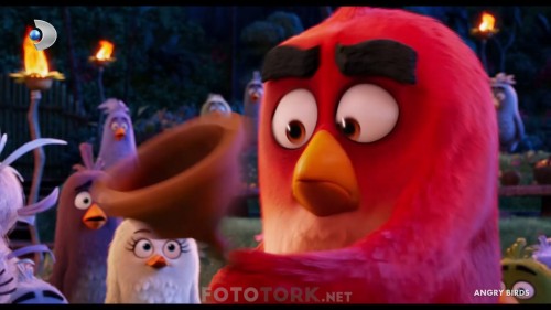 Angry.Birds.2016.HDTvRip.1080p.AC3.TR.DUB.by.cideli37.TORK.mkv_snapshot_00.32.47.jpg