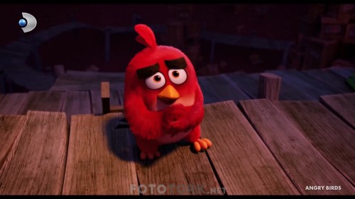 Angry.Birds.2016.HDTvRip.1080p.AC3.TR.DUB.by.cideli37.TORK.mkv_snapshot_01.15.19.jpg
