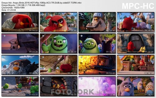 Angry.Birds.2016.HDTvRip.1080p.AC3.TR.DUB.by.cideli37.TORK.mkv_thumbs.jpg