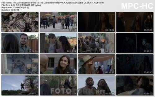 The.Walking.Dead.S09E15.The.Calm.Before.REPACK.720p.AMZN.WEB-DL.DD5.1.H.264.mkv_thumbs_2019.06.20_20.06.01.jpg