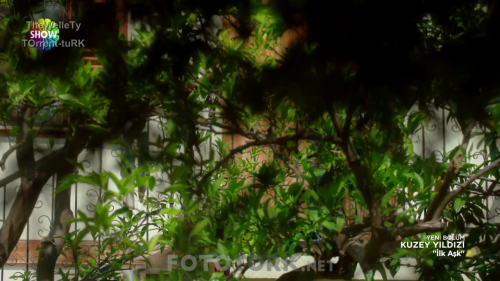Kuzey.Yildizi.BL.02.HDTvRip.720p.AC3.by.TheWelleTy.TORK.mkv_000638600.png