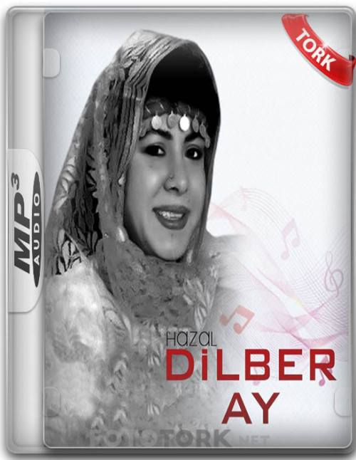 dilber-ay-kapak.jpg