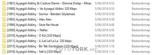aysegul-aldinc-track.jpg