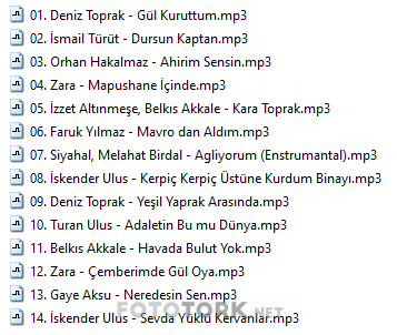 vol5.png