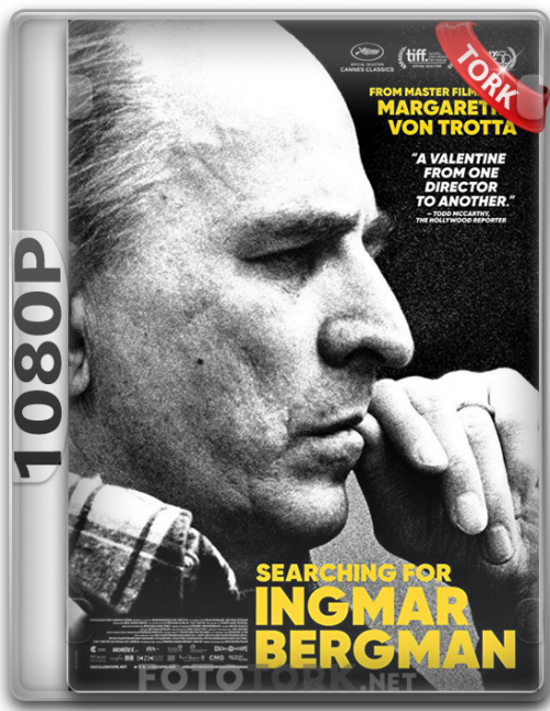 1080pBERGMAN.png