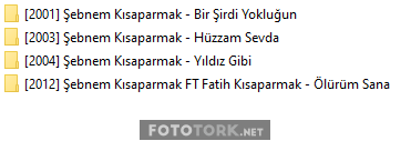 sebnem-kisaparmak-track.png