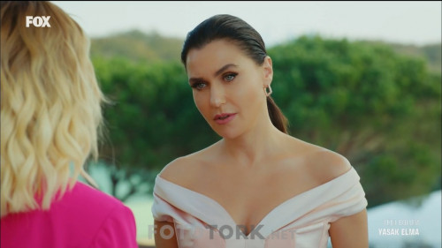 Yasak.Elma.BL.58.HDTvRip.720p.AC3.by.TheWelleTy.TORK.mkv_snapshot_01.03.40.871.jpg