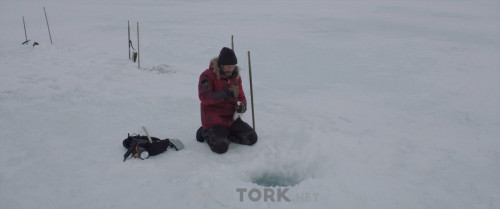 Arctic.2019.BluRay.1080p.x264.AC3.DUAL.TR-EN.TORK.mkv_snapshot_00.04.29.501.jpg
