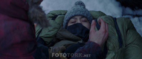 Arctic.2019.BluRay.1080p.x264.AC3.DUAL.TR-EN.TORK.mkv_snapshot_01.09.27.961.jpg