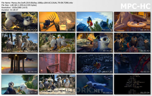Manou.the.Swift.2019.BluRay.1080p.x264.AC3.DUAL.TR-EN.TORK.mkv_thumbs.jpg