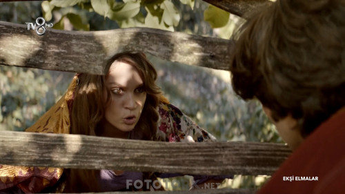 Eksi.Elmalar.2016.HDTvRip.1080p.x264.AC3.by.cideli37.TORK-.mkv_snapshot_00.19.39.840.jpg