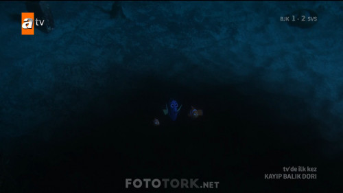 Kayip.Balik.Dori.2016.HDTvRip.1080p.AC3.TRDUB.by.cideli37.TORK.mkv_snapshot_00.17.34.293.jpg
