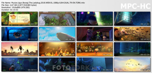 Mucize.Ugur.Bocegi.The.Ladybug.2018.WEB-DL.1080p.h264.DUAL.TR-EN.TORK.mkv_thumbs.jpg