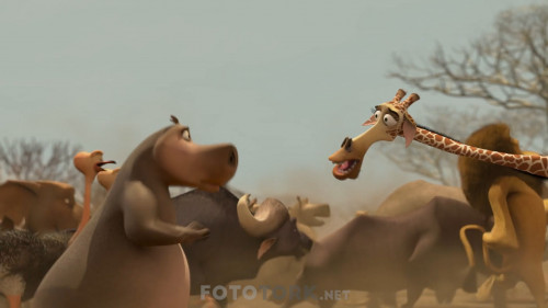 Madagaskar.2.2008.Afrikadan.Kacis.NF.1080p.DDP5.1.AC3.DUAL.TR-ENG.TORK.mkv_snapshot_01.02.56.318.jpg