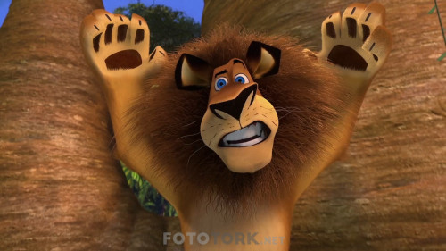 Madagaskar.2005.NF.1080P.DDP5.1.AC3.DUAL.TR-ENG.TORK.mkv_snapshot_01.01.54.533.jpg