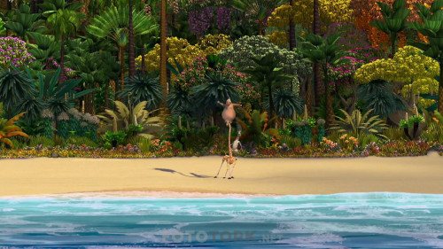 Madagaskar.2005.NF.1080P.DDP5.1.AC3.DUAL.TR-ENG.TORK.mkv_snapshot_01.07.52.976.jpg