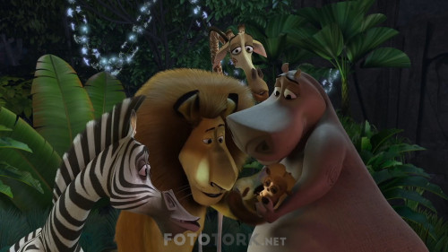 Madagaskar.2005.NF.1080P.DDP5.1.AC3.DUAL.TR-ENG.TORK.mkv_snapshot_00.41.14.810.jpg